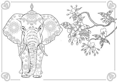 Sanat terapisi için boyama. Asya 'nın hayvanları ve çiçekleri. Renkli sayfalarla dolu bir dünya turu ile rahatlatıcı ve eğitici bir yolculuk.