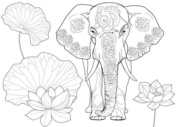 Sanat terapisi için boyama. Asya 'nın hayvanları ve çiçekleri. Renkli sayfalarla dolu bir dünya turu ile rahatlatıcı ve eğitici bir yolculuk.