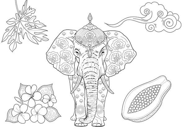 Sanat terapisi için boyama. Asya 'nın hayvanları ve çiçekleri. Renkli sayfalarla dolu bir dünya turu ile rahatlatıcı ve eğitici bir yolculuk.