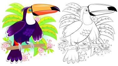 Renkli ve siyah-beyaz desen boyama. Şirin toucan Illustration. Çocuklar ve yetişkinler için çalışma sayfası. Vektör görüntü.