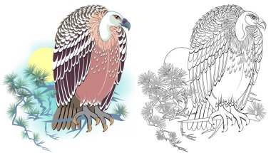 Renkli ve siyah-beyaz desen boyama. Şirin griffon Illustration. Çocuklar ve yetişkinler için çalışma sayfası. Vektör görüntü.