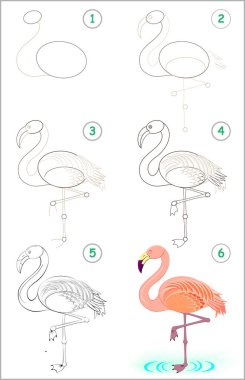 Sayfa nasıl adım adım şirin bir flamingo çizmek öğrenmek için gösterir. Çizim ve boyama için çocuklar becerilerini geliştirmek. Vektör görüntü.