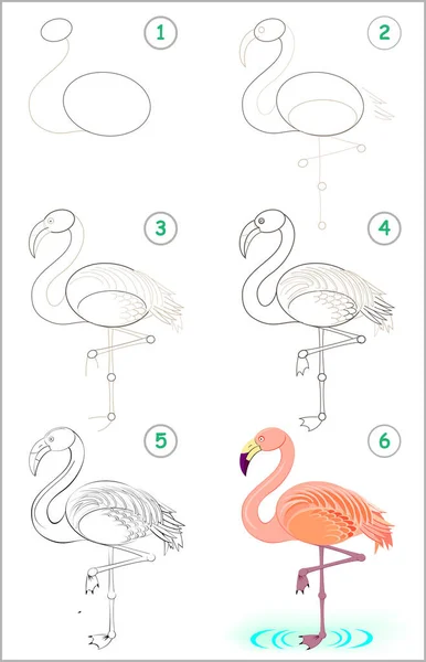 Stránka Ukazuje Jak Krok Krokem Naučit Kreslit Roztomilý Flamingo Rozvoj — Stockový vektor