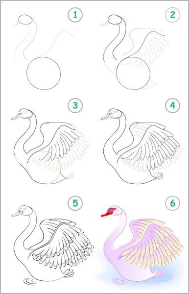 Página Mostra Como Aprender Passo Passo Para Desenhar Cisne Bonito — Vetor de Stock