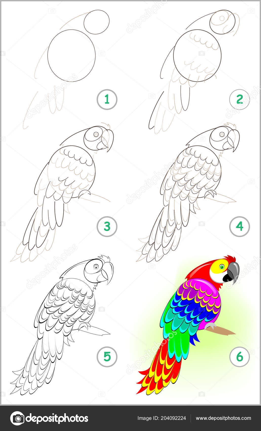 Page Shows How Learn Step Step Draw Cute Parrot Developing Stock