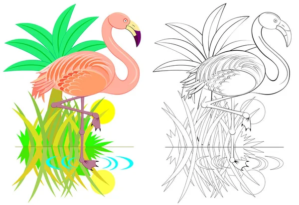 Színes Fekete Fehér Mintás Színezésére Aranyos Flamingo Illusztrációja Munkalap Kicsiknek — Stock Vector