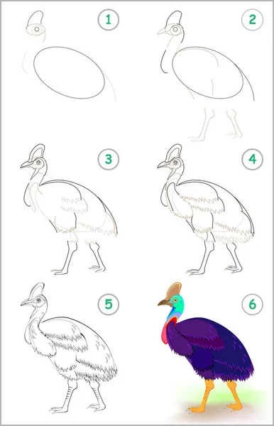 页面显示如何逐步学习 以绘制一个可爱的 Cassowary 培养儿童绘画和着色技能 矢量图像 — 图库矢量图片