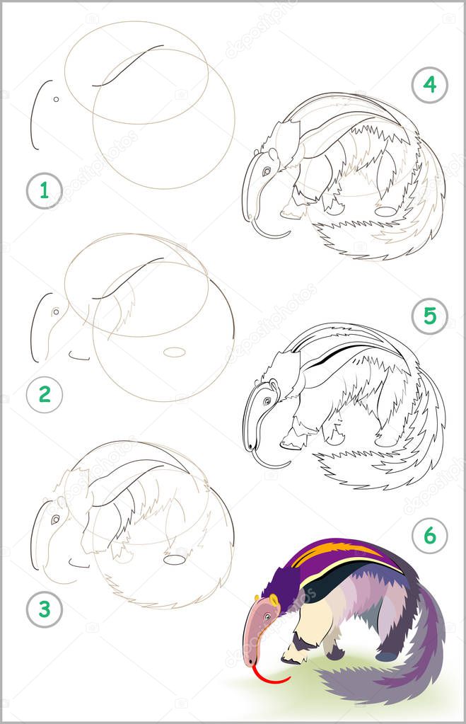 Page shows how to learn step by step to draw a cute anteater. Developing children skills for drawing and coloring. Vector image.
