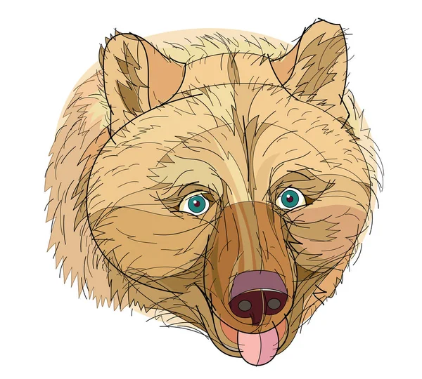 Fantasy Illustration Head Cute Brown Bear White Background Hand Drawn — Stock Vector