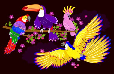 Fantezi illüstrasyon koyu arka plan üzerinde şirin fairyland papağan. Modern Yazdır. Vektör çizgi film resim.