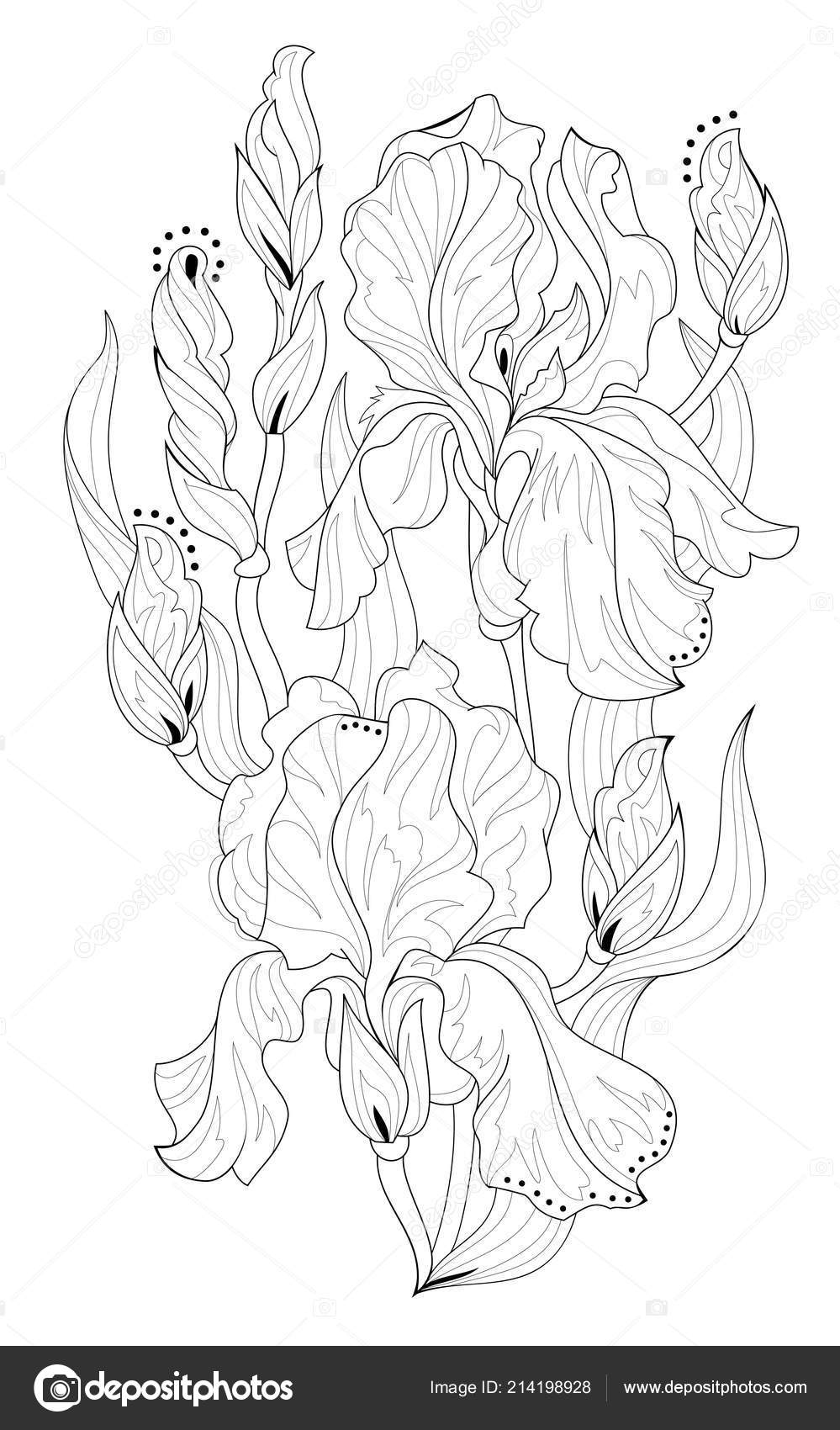 Black White Seite Zum Ausmalen Fantasy Zeichnen Schöne Iris Muster