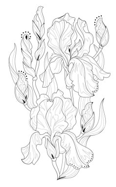 Siyah ve beyaz sayfa boyama. Fantezi güzel süsen çizim. Desen baskı ve nakış. Çocuklar ve yetişkinler için çalışma sayfası. Vektör görüntü.