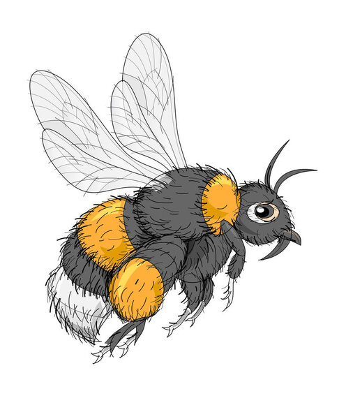 Фантастическая иллюстрация милых насекомых шмель на белом фоне. Векторное изображение
.