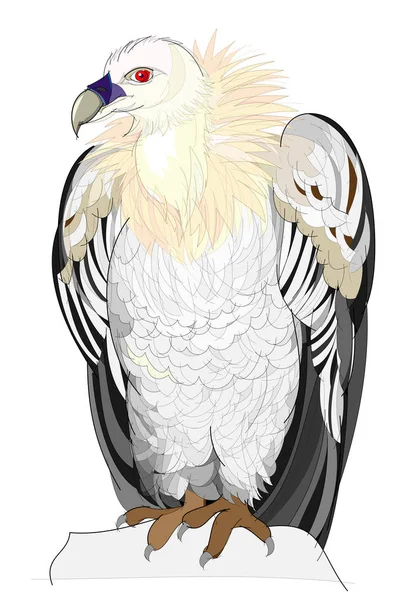 Illustrazione Fantasy Avvoltoio Carino Sfondo Bianco Immagine Vettoriale Disegnata Mano — Vettoriale Stock