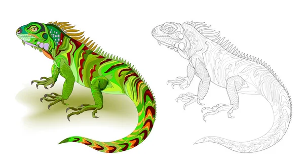 Fantasia Ilustração Iguana Lagarto Verde Bonito Página Colorida Preto Branco — Vetor de Stock