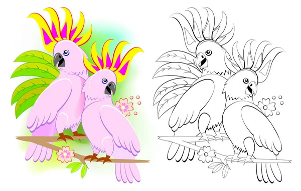 Fantezi Illüstrasyon Çift Romantik Kakadu Papağan Renkli Siyah Beyaz Sayfa — Stok Vektör