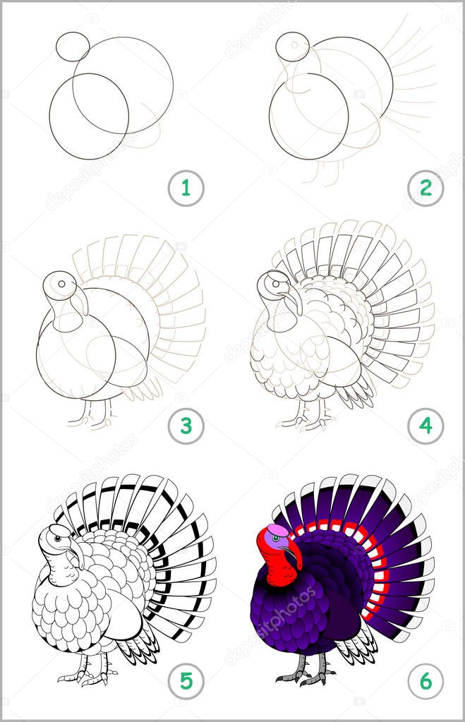 Educational page for kids shows how to learn step by step to draw a cute turkey. Back to school. Developing children skills for drawing and coloring. Vector cartoon image.