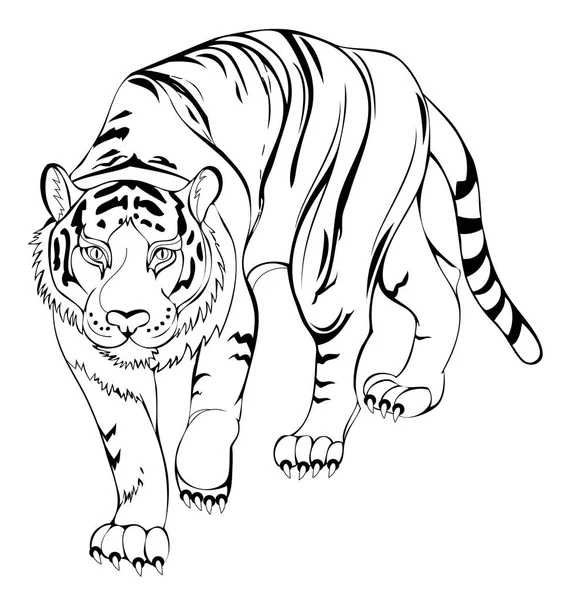 Tigre Estilizado Página Blanco Negro Para Colorear Libro Patrón Para — Archivo Imágenes Vectoriales