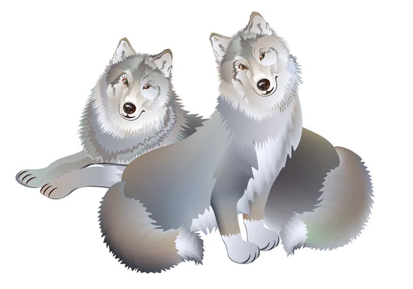 Fantasy Drawing Couple Two Wolves Gentle Loving Each Other Modern — Stock Vector