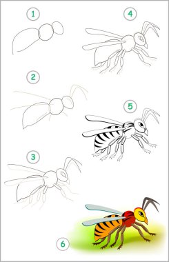 Educational page for kids shows how to learn step by step to draw a cute insect hornet. Back to school. Developing children skills for drawing and coloring. Vector cartoon image. clipart