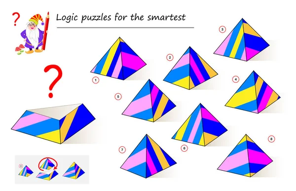 Lógica Juego Puzzle Para Los Más Inteligentes Necesidad Encontrar Detalle — Vector de stock