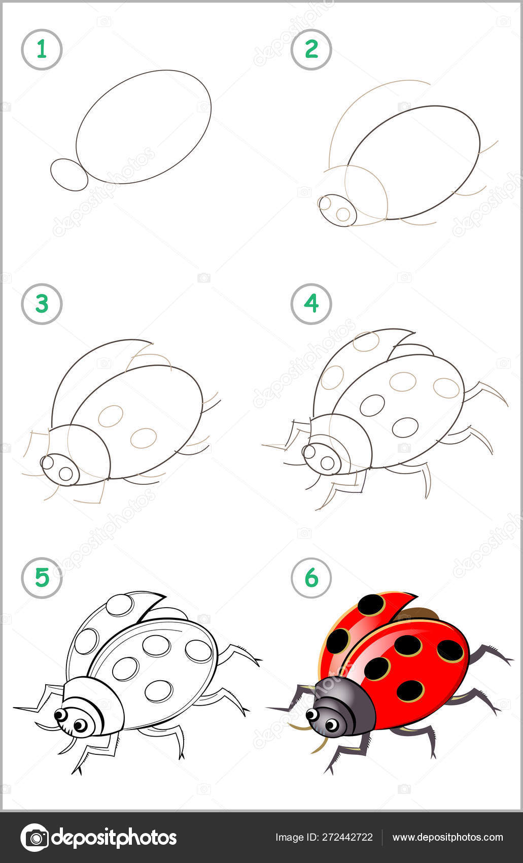 how to draw a ladybug for kids