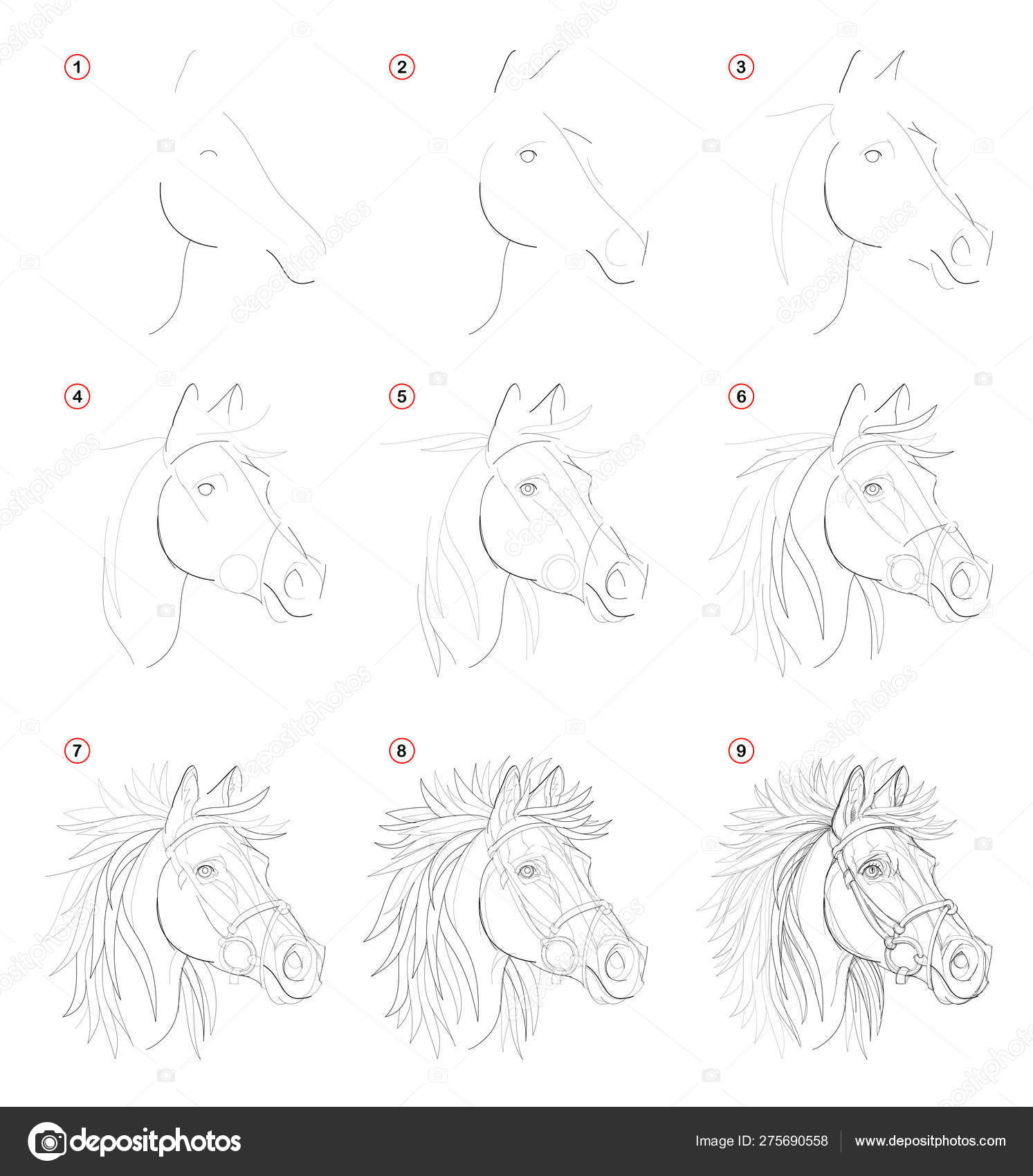 Como Desenhar Da Natureza O Desenho De Cavalo Em Pé Criação Passo a Passo  De Desenho De Lápis Página Educativa Para Artistas Ilustração do Vetor -  Ilustração de cavalo, preto: 166402861