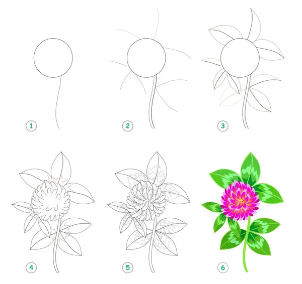 Sayfa Güzel Çiçek Yonca Çizmek Için Adım Adım Öğrenmek Için — Stok Vektör