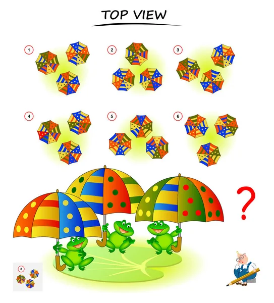 Логічна Гра Головоломка Дітей Дорослих Потрібно Знайти Правильний Вид Зверху — стоковий вектор