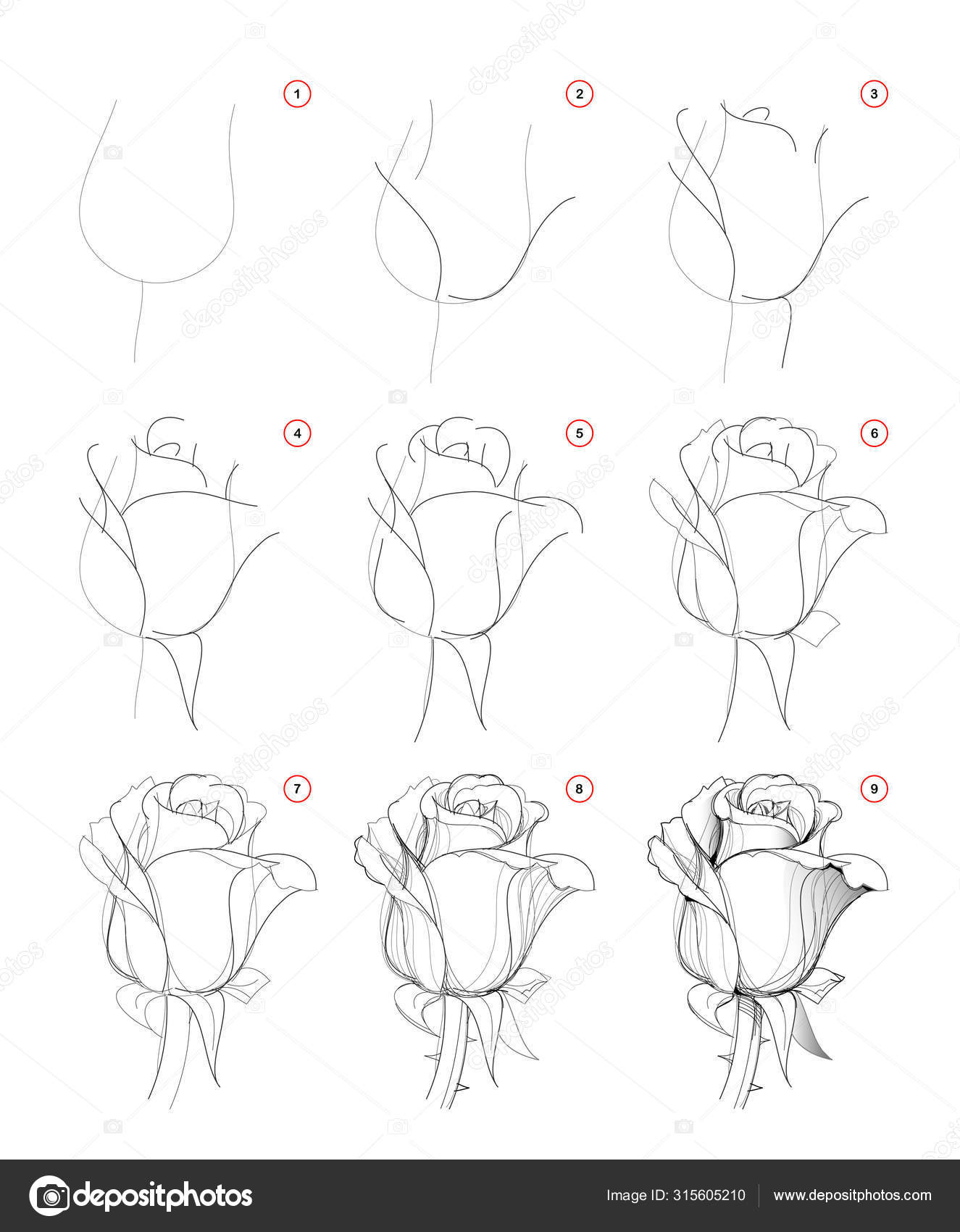 COMO DESENHAR UM BUQUÊ DE FLORES