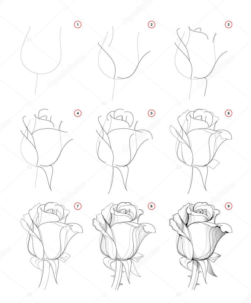 Featured image of post How To Draw A Beautiful Rose Flower / Roses are often referred to as the symbol of romance and love.