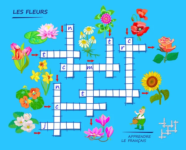 Aprende Francés Crucigrama Juego Puzzle Con Flores Página Educativa Para — Vector de stock