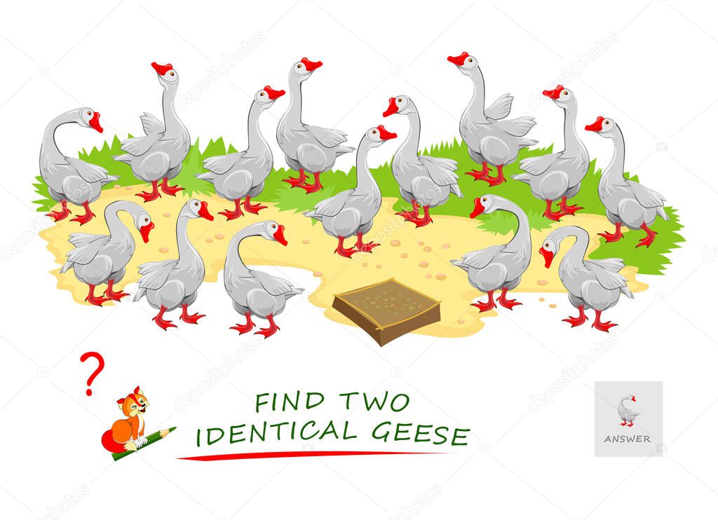 Logic puzzle game for children and adults. Find two identical geese. Printable page for kids brain teaser book. Developing spatial thinking skills. IQ test. Task for attentiveness. Play online.