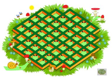 Çocuklar ve yetişkinler için labirent ile mantıklı bulmaca oyunu. Salyangozun baştan sona doğru yolu bulmasına yardım et. Çocuk zeka oyunu kitabı için çalışma tablosu. IQ testi. Çevrimiçi çalma.