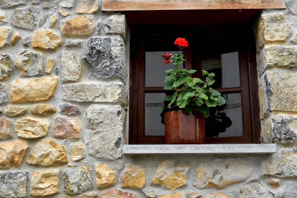 Window Flowers Classical Facade — Stock Photo, Image