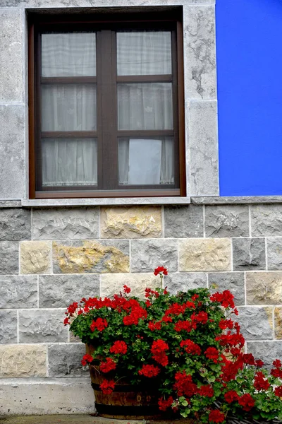 Fönster Med Blommor Klassisk Fasad — Stockfoto