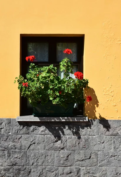 Fenster Mit Blumen Klassischer Fassade — Stockfoto