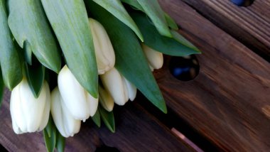 Beyaz tukips ile soyut