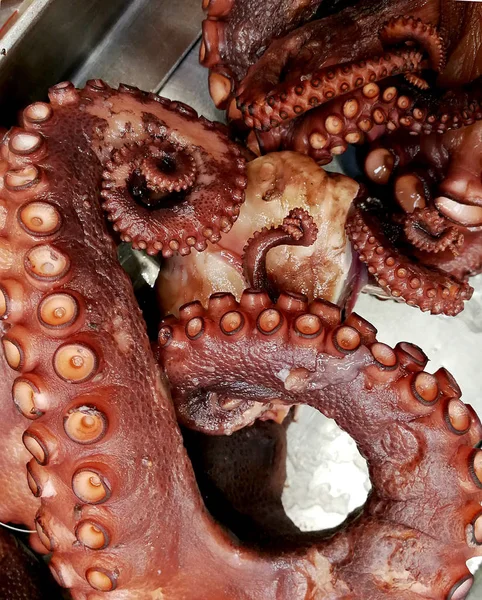 Octopus Gekookt Markt — Stockfoto