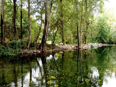 Su üzerine düşünceler ile manzara