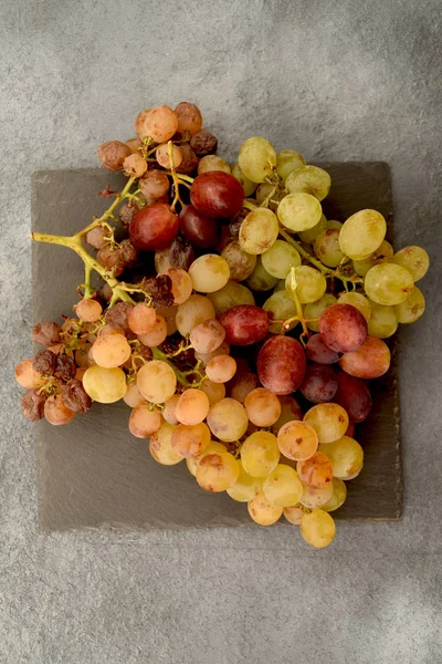 Grappoli Uva Matura Pietra Ardesia Fondo Grigio — Foto Stock