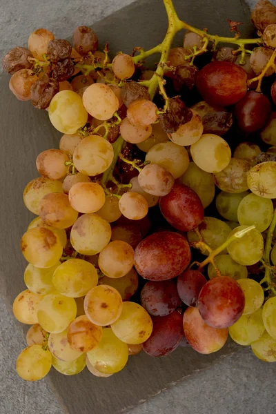 Гроздья Спелого Винограда Каменном Сером Фоне — стоковое фото