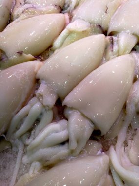 markette taze mürekkep