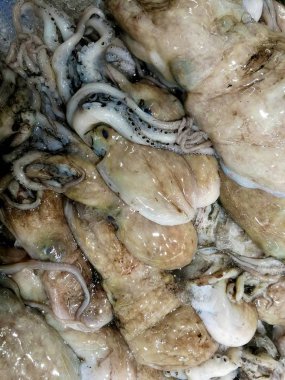 markette taze ahtapot