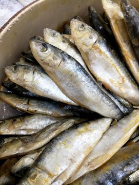 Tuzlu kurutulmuş sardalye Market