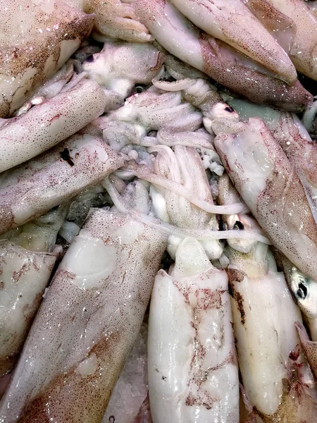 Fresh Squids Market — Stock Photo, Image