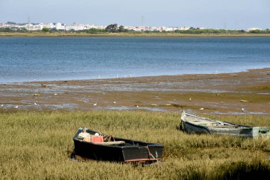 Atlantik marsh ve Haliç