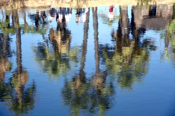 Personas Caminando Palmeras Reflejadas Agua — Foto de Stock