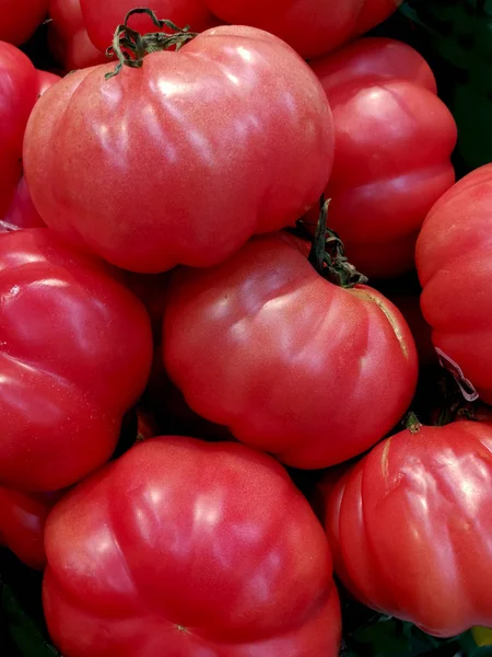 Pomodori Biologici Freschi Maturi — Foto Stock