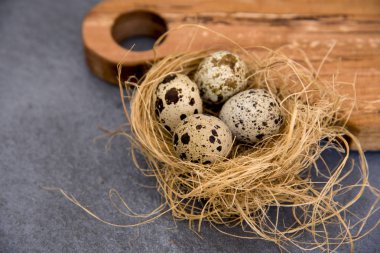 Yuvadaki bıldırcın yumurtaları